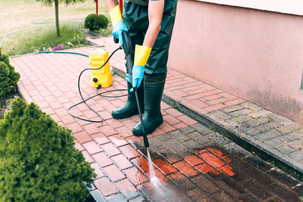 Best Commercial Building Pressure Washing  in Monroe, MI