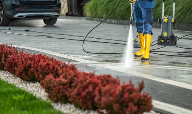 Fence Pressure Washing in Monroe, MI
