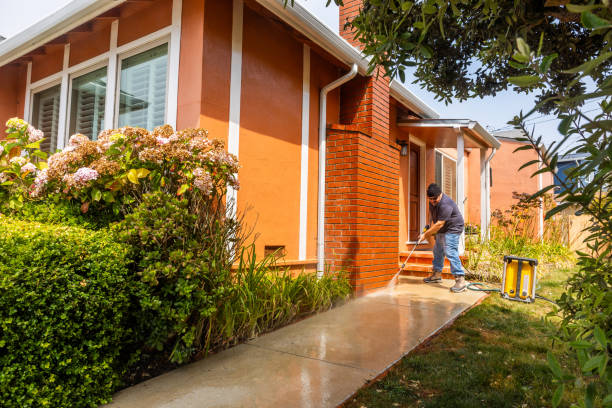 Best Roof Pressure Washing  in Monroe, MI