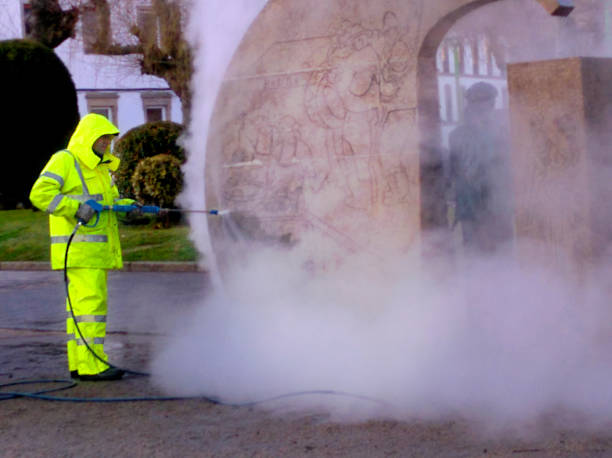 Best Local Pressure Washing Services  in Monroe, MI